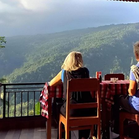 Aris Homestay And Warung Made Munduk Exteriér fotografie