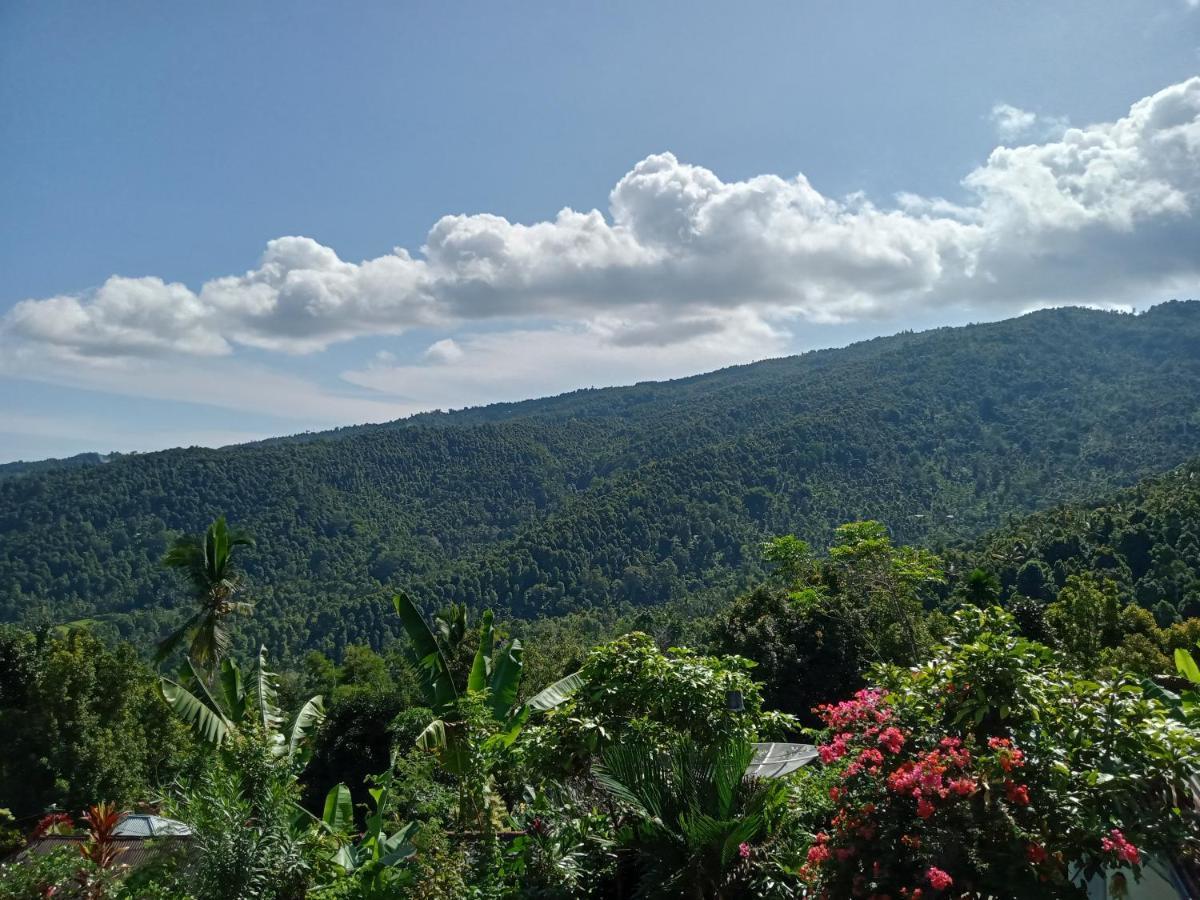 Aris Homestay And Warung Made Munduk Exteriér fotografie